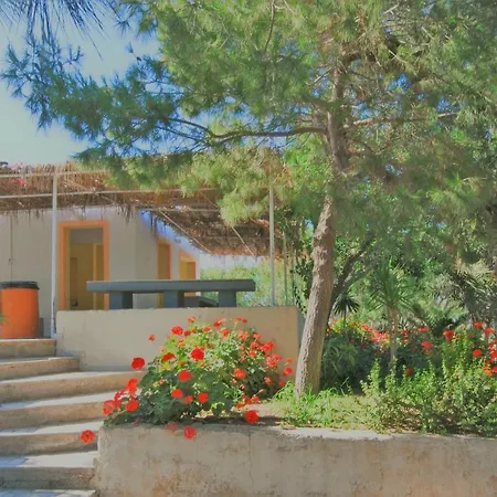 Santorini Camping&hostel Ostello Fira (Santorini)