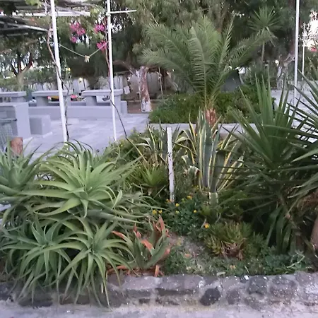 Hostal Santorini & Fira (Santorini)